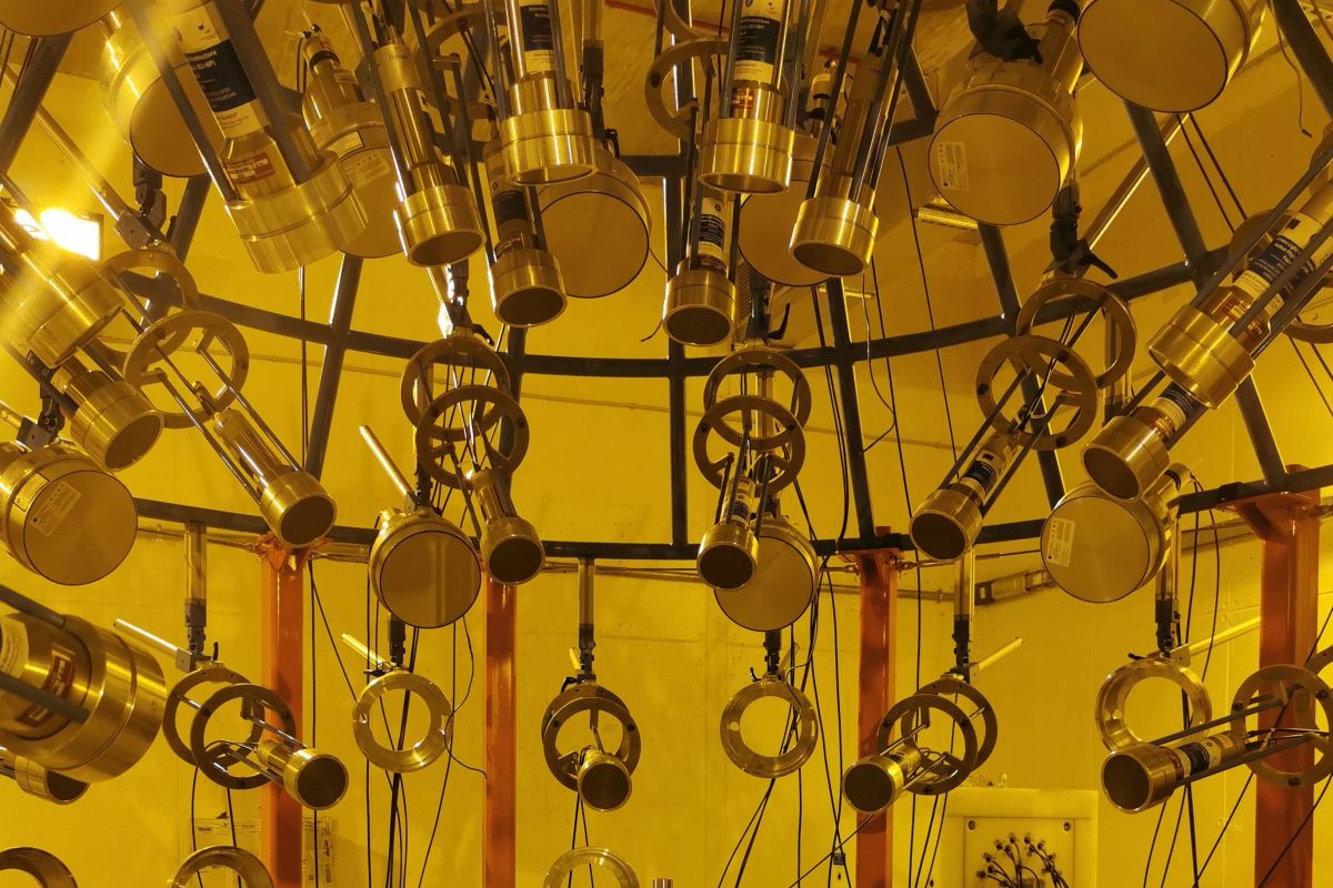 ELIGANT neutron detectors