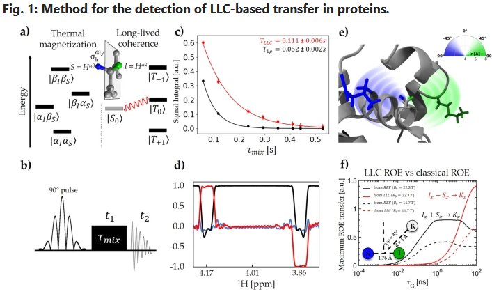 Molecular mechanisms of FLASH radiation - towards early diagnostic