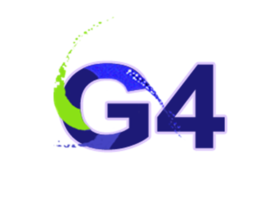 The XII Geant4 International School